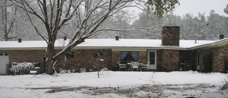 Even the back of the Jemison house looked good in the snow.